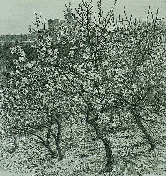 Bloeiende Boomgaard, Taormina (Flowering Orchard, Taormina) - DIRK VAN GELDER - etching