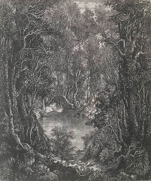 Forest Pond (Bosvijver) - DIRK VAN GELDER - lithograph