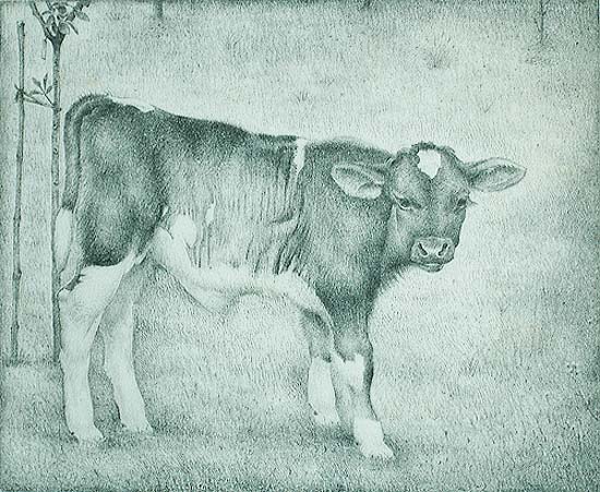 Calf (Kalfje) - JAN WITTENBERG - lithograph