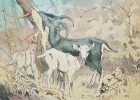 Goat With Two Kids -  SEABY