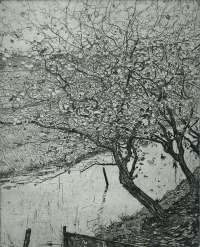 Appelboomen aan den Slootkant (Apple trees along the side of a Ditch) -  DUPONT