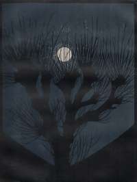 Moonlit Night (Mannacht) -  DE GRAAG