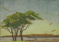 Evening Light - MORGAN