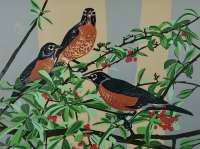 Robins - RICH