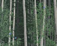 Aspen and Bluebirds - RICH
