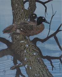 Pateka Brown Teal - RICH