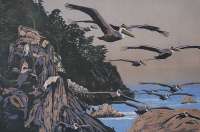 Pelicans at Big Sur - RICH