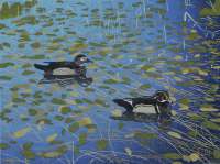 Wood Ducks - RICH