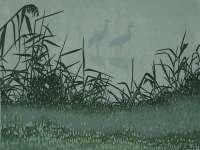 Cranes in Mist -  RICH