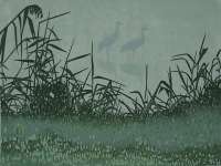 Cranes in Mist - RICH