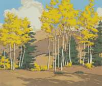 Aspen and Spruce -  HALL