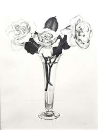Roses - SHEELER