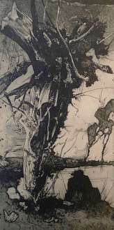Head Willows - HORST JANSSEN