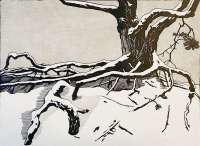 Tree in Winter - BOON