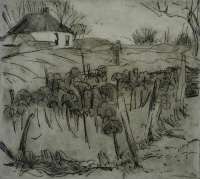 Farmhouse with a Kalefield in the Foreground -  ALTINK