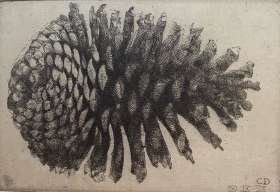 Dennenappel VIII - CHARLES DONKER