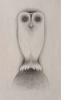 Owl Sitting on a Rock - RICHTERS
