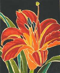 Day Lily -  RICE