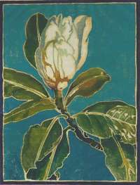 Magnolia Bud -  RICE