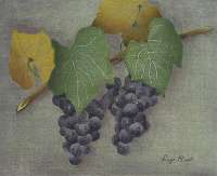 Two Bunches of Grapes -  RIST