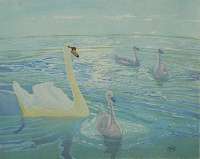 Swan and Cygnets -  GILES