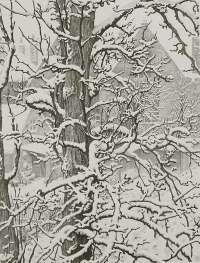 Sneeuw, Veere (Snow, Veere, Holland) -  VAN GELDER
